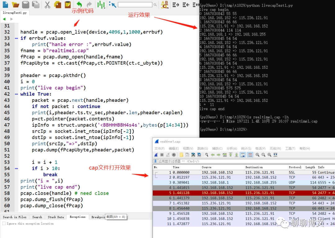 python3使用libpcap库进行抓包及数据处理