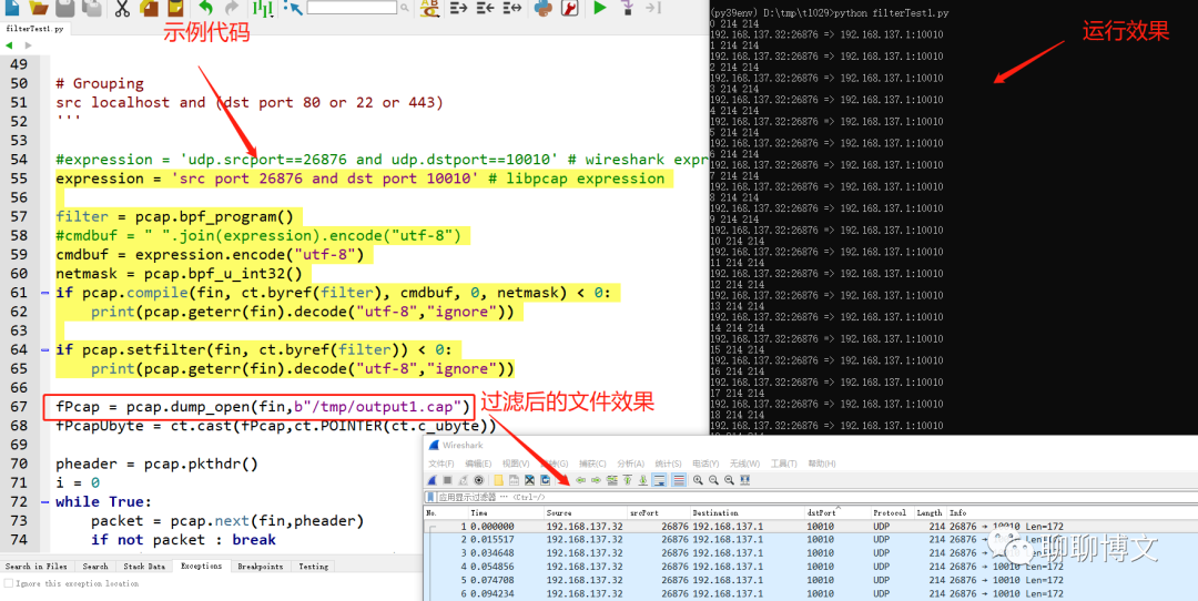 python3使用libpcap库进行抓包及数据处理