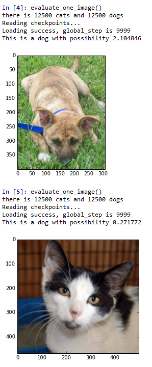 Kaggle系列1：手把手教你用tensorflow建立卷积神经网络实现猫狗图像分类