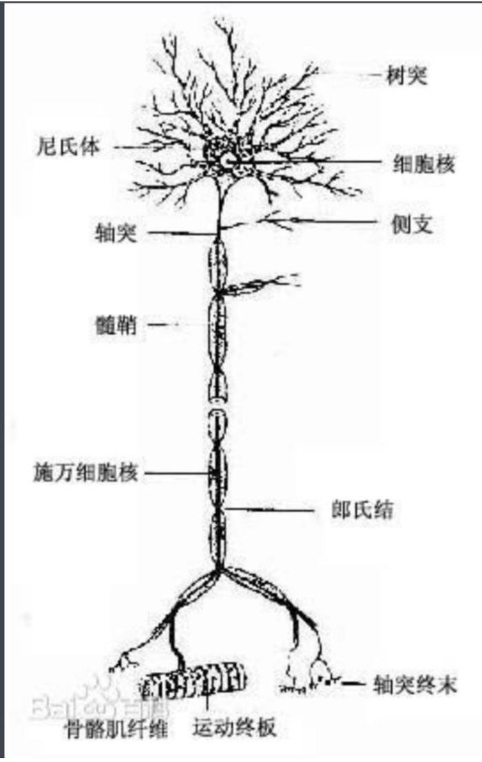 一文理解深度学习，卷积神经网络，循环神经网络的脉络和原理1-深度学习基础