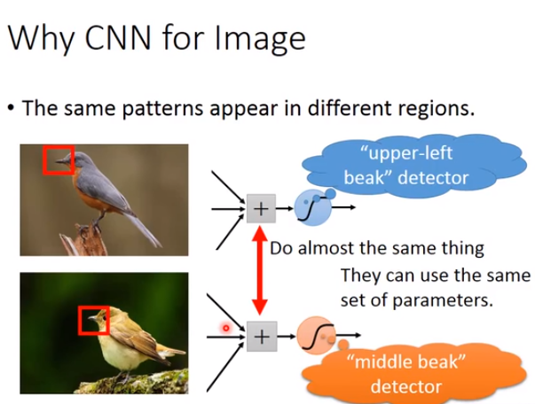 Convolutional neural network (卷积神经网络)