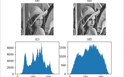 跟我学Python丨图像增强及运算：局部直方图均衡化和自动色彩均衡化处理
