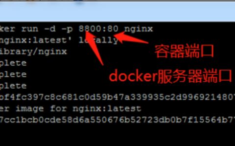 Docker: docker 启动一个Nginx容器