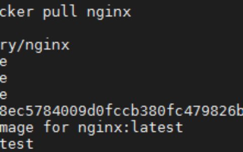 Docker中安装nginx