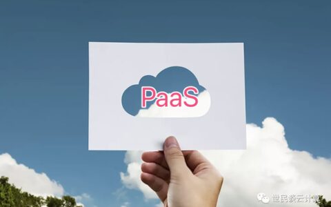 年中盘点 | 2022年，PaaS 再升级