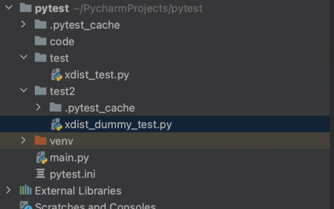 pytest分布式执行插件 pytest-xdist 的高级用法