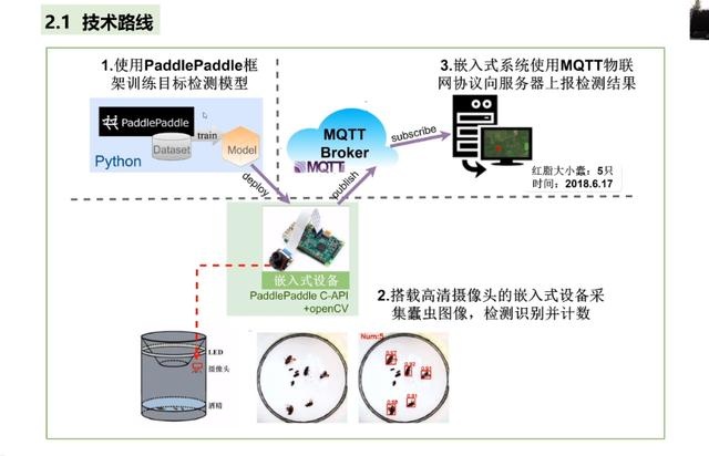 北航孙钰：昆虫目标检测技术