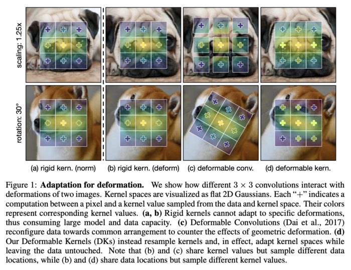 可变形卷积系列(三) Deformable Kernels，创意满满的可变形卷积核 |  ICLR 2020