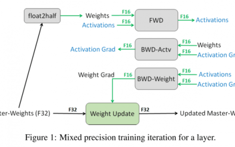 Mixed Precision Training —— caffe-float16