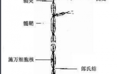 一文理解深度学习，卷积神经网络，循环神经网络的脉络和原理1-深度学习基础