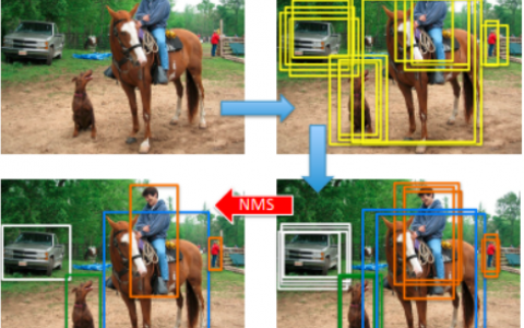 目标检测后处理之NMS（非极大值抑制算法）