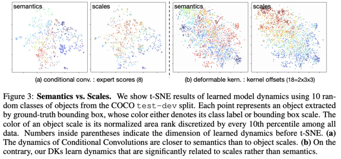 可变形卷积系列(三) Deformable Kernels，创意满满的可变形卷积核 |  ICLR 2020