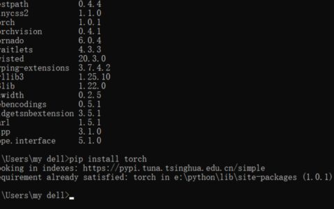 安装pytorch后import torch显示no module named 'torch'